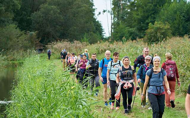 <p>Eine Gruppe aus zahlreichen sportlich gekleideten Menschen wandert in Reihe hinter Schilf entlang.</p>