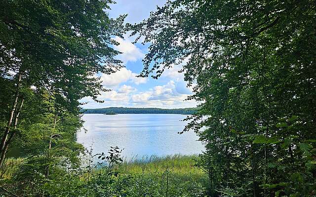 Blick zwischen grünen Bäumen hindurch über einen etwas weiter unten gelegenen, hellblau strahlenden See mit einer kleinen bewaldeten Insel.