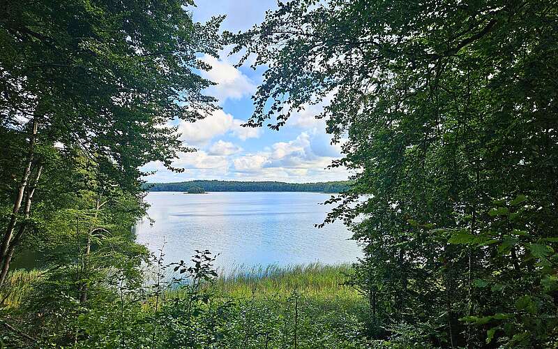 Blick zwischen grünen Bäumen hindurch über einen etwas weiter unten gelegenen, hellblau strahlenden See mit einer kleinen bewaldeten Insel.