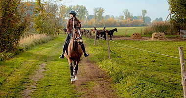 Reiten