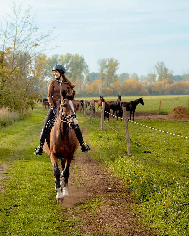 Eine junge Frau reitet auf einem braunen Pferd über einen Feldweg, an dessen Rand grünes Gras wächst. Das Wetter ist herbstlich grau. Die Frau trägt einen schwarzen Reiterhelm.