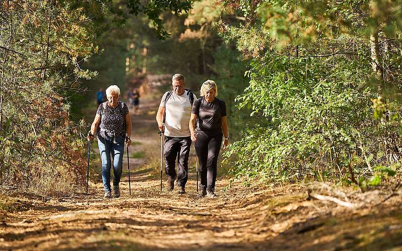Drei ältere Personen wandern mit Stöcken auf einem von Bäumen gesäumten Waldweg