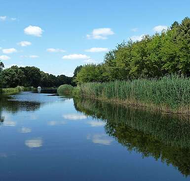 Blick auf die Havel, die rechts und links von grünen Bäumen gesäumt wird. In der Ferne sieht man ein Boot fahren.