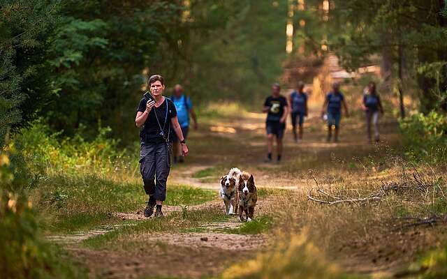 Frau mit zwei Hunden läuft auf einem Waldweg, im Hintergrund mehrere weitere Spaziergänger