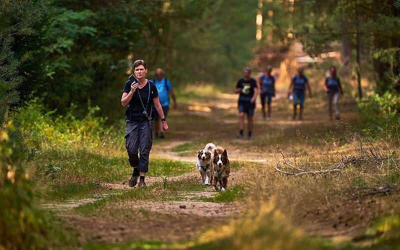 Frau mit zwei Hunden läuft auf einem Waldweg, im Hintergrund mehrere weitere Spaziergänger