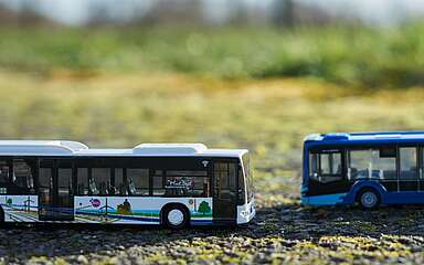 Modellbusse der Busgesellschaften (ORP & OVG) 