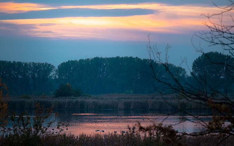 Morgenstimmung an den Linumer Teichen