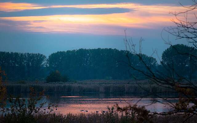 Morgenstimmung an den Linumer Teichen