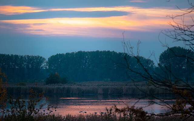 Morgenstimmung an den Linumer Teichen