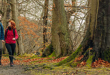 Eine Familie aus Vater, Mutter und Kind wandert durch einen herbstlichen Wald am Seeufer