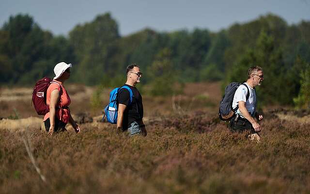 Wanderer in der Kyritz-Ruppiner Heide