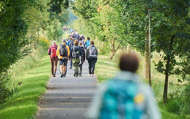 Eine Gruppe aus zahlreichen sportlich gekleideten Menschen wandert in Reihe über einen asphaltierten Radweg. Das Foto zeigt die Wanderer von hinten.