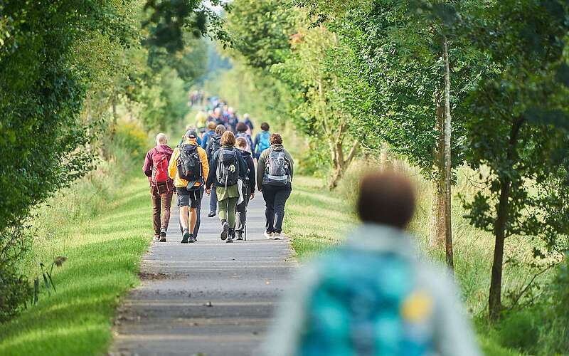 Eine Gruppe aus zahlreichen sportlich gekleideten Menschen wandert in Reihe über einen asphaltierten Radweg. Das Foto zeigt die Wanderer von hinten.