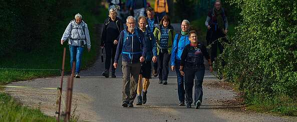 Eine große Gruppe sportlicher Wanderer auf einem asphaltierten Weg zwischen grünen Bäumen