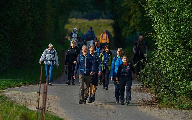 Eine große Gruppe sportlicher Wanderer auf einem asphaltierten Weg zwischen grünen Bäumen
