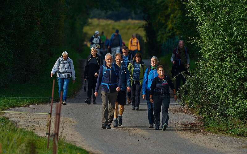 Eine große Gruppe sportlicher Wanderer auf einem asphaltierten Weg zwischen grünen Bäumen