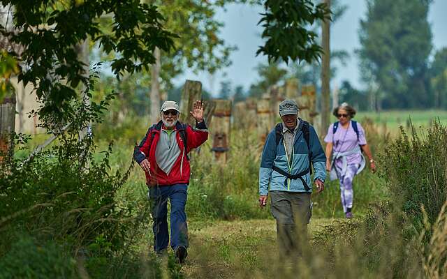 <p>Eine Gruppe von sportlich gekleideten Wanderern läuft durch eine grüne Landschaft mit hohem Gras und Bäumen. Der linke Wanderer winkt in die Kamera.</p>