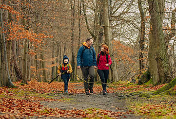 Eine Familie aus Vater, Mutter und Kind wandert durch einen herbstlichen Wald am Seeufer