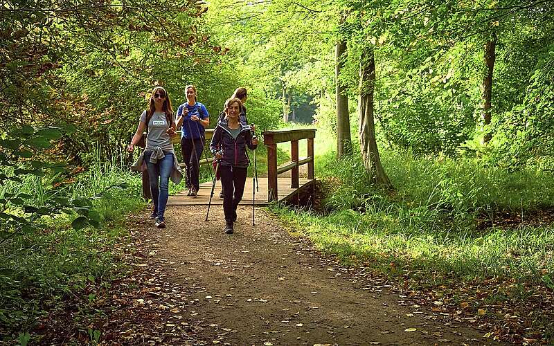Drei Frauen wandern auf einem Waldweg neben einem kleinen Holzsteg in einem grünen Park