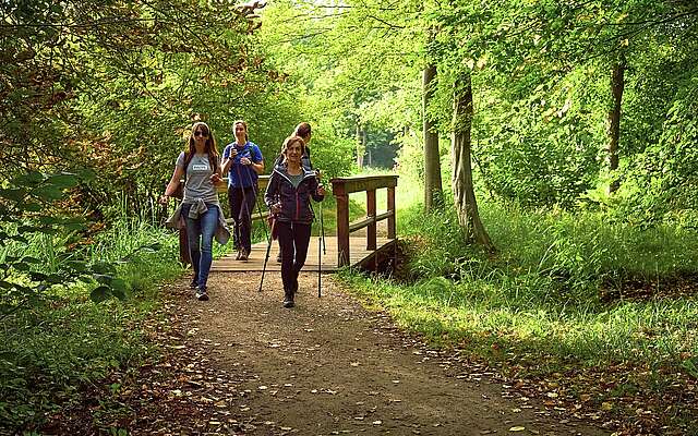 Drei Frauen wandern auf einem Waldweg neben einem kleinen Holzsteg in einem grünen Park