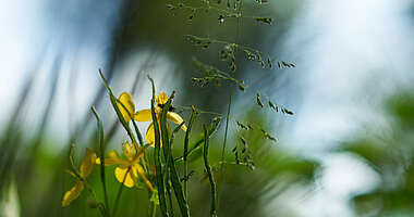 Nature and landscape tours