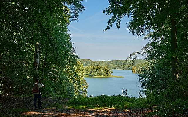 Wanderer am Zanderblick am Tornowsee