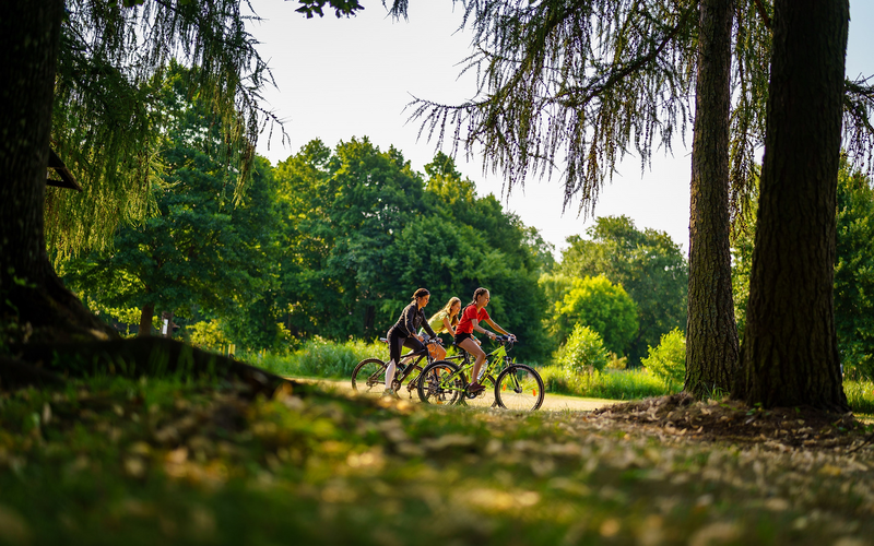Drei Radfahrerinnen auf einem Weg im sonnendurchfluteten Wald.
