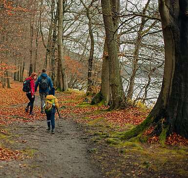 Eine Familie aus Vater, Mutter und Kind wandert durch einen herbstlichen Wald am Seeufer