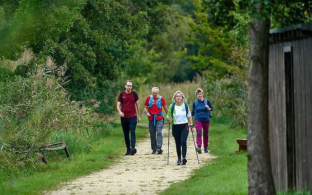 <p>Eine Gruppe an sportlich gekleideten Wanderern auf einem Pfad zwischen Schilf und Bäumen.</p>