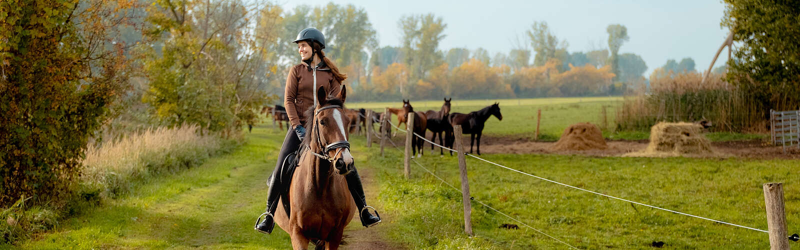 Eine junge Frau reitet auf einem braunen Pferd über einen Feldweg, an dessen Rand grünes Gras wächst. Das Wetter ist herbstlich grau. Die Frau trägt einen schwarzen Reiterhelm.